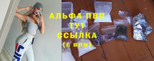 спайс Надым